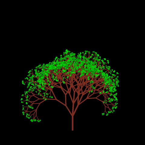 A computer generated fractal tree