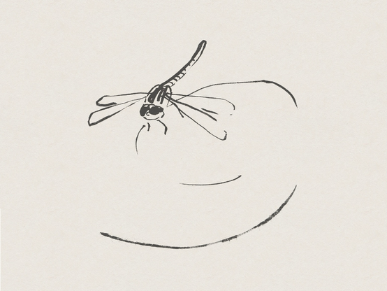 Brush pen sketch of a dragonfly, in black ink. It is viewed from above and perched on a very loosely drawn metal swirl.
