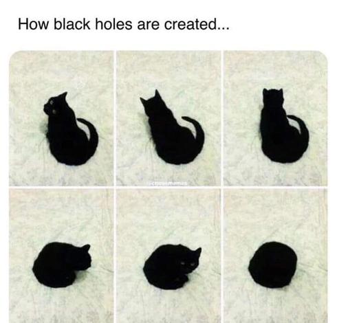 How black holes are created...

Various photos of a cat slowly curling up into a black ball.
