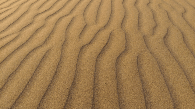Small-scale sand ripples can form and disappear in a matter of hours.