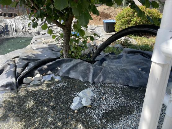 I shorted up a little portion of the filter pond nearest the tree. There are rocks and pebble underneath the liner. It should be fine for now, but I will have to reevaluate when I turn the pump on.