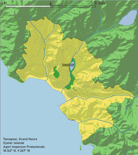 A map of a coastal city on a tropical island called Grand Nacre. The island is very hilly with four river valleys joining at the ocean along the southwest coast. The city of Tamapoor is located at the confluence of these rivers.