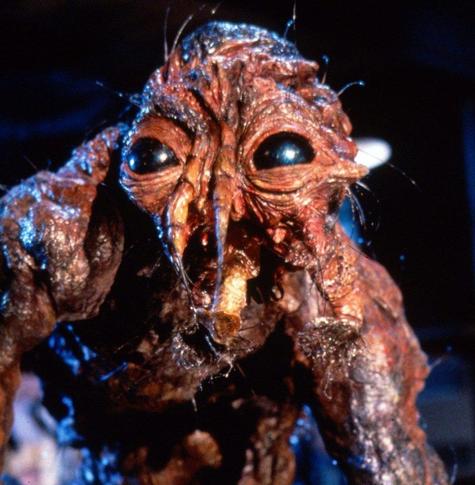 Brundlefly, the horrifying man-fly hybrid, from Cronenberg's 1986 masterpiece The Fly.