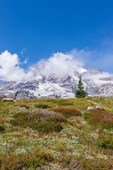Lush green meadow with a distant snow-covered peak and scattered clouds in a clear blue sky.
