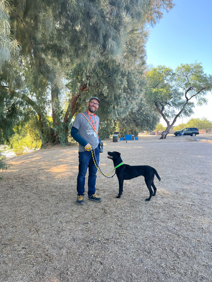 Beautiful dog with a person on a walk