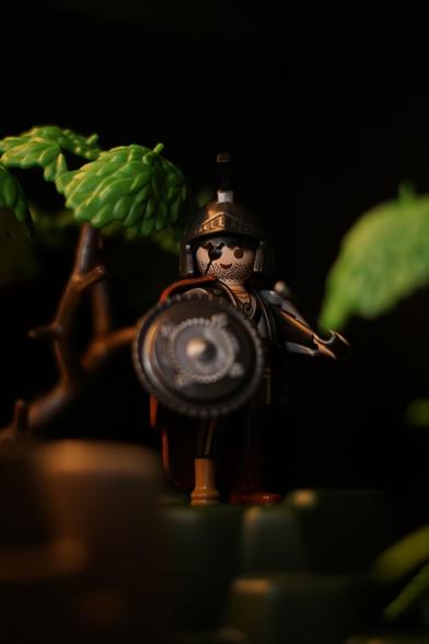 Closeup of a Playmobil toy pirate wearing a Roman helmet and a fur cape with a round shield in one and a sword in the other hand.
The figure stands in front of a tree and is dimly lit from the side.