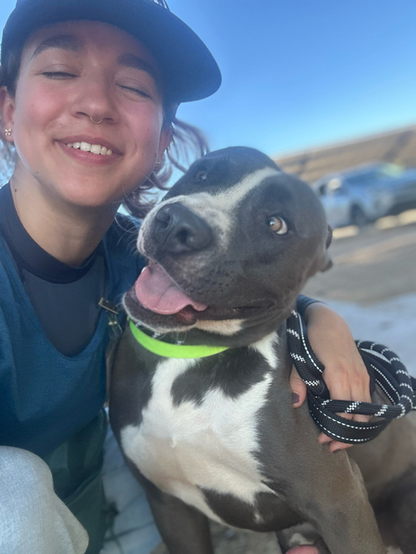 Beautiful dog with a person
"Nemo is my personal favorite. He was so happy to get a short break from his kennel"