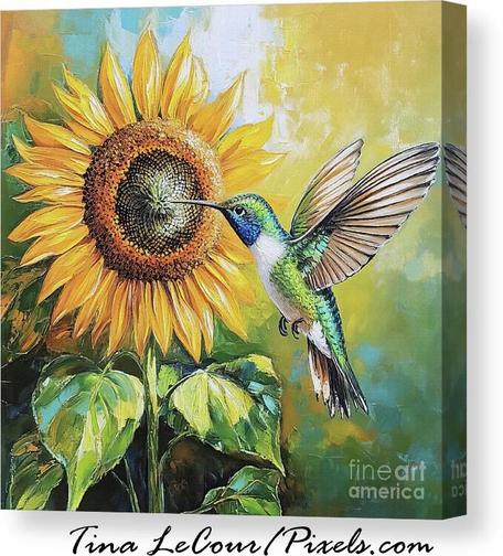 This is a canvas of a big sunflower with a blue throated hummigbird flying towards the flower with a painterly effect using Corel Painter and impressionism brushes.