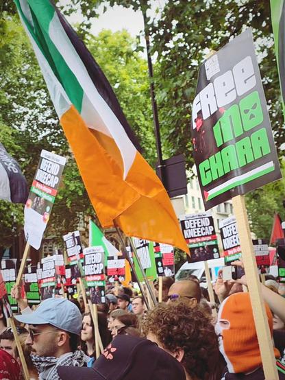 Crowd with signs and irish flags and baclava