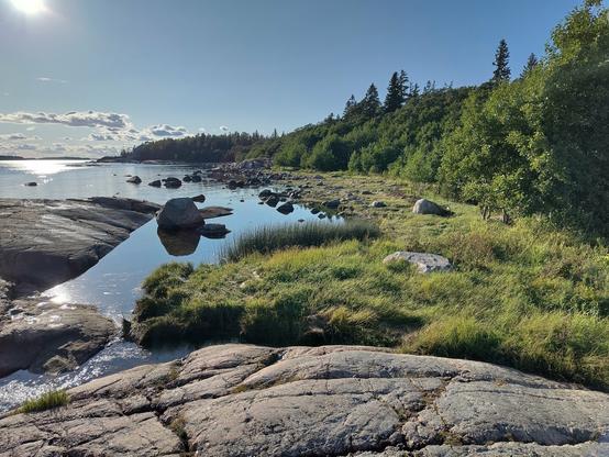 Seashore rocks and meadow