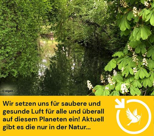 Ein sehr grünes Bild aus einem Park mit vielen Bäumen, die über einen gemächlich fließenden Fluss hängen.
Unter dem Bild der Eintrag "Wir setzen uns für saubere und gesunde Luft für alle und überall auf diesem Planeten ein! Aktuell gibt es die nur in der Natur...
Unten rechts ist unser Logo: der Ulmer Spatz im Pfeilkreis von LocalZero. (Pfeilkreis bedeutet: Ein Kreis, an dessen oberer linken Seite ein Pfeil nach unten weist)
