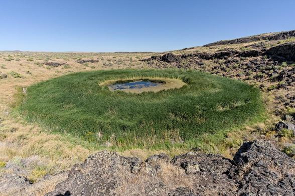 A color landscape photo of a depression inside a small volcanic crater ring in black rock (basalt) with dry grass on the left side of the frame. Inside of the crater there is a large perfectly round bright green feature of reeds and cattails. In the center if a small area of blue water. So it is a round lake with a band of green growth.