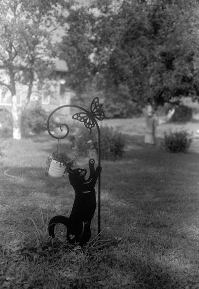 A black-and-white photograph depicting a garden decoration. In the center of the composition is a metal silhouette of a cat standing on its hind legs and reaching for a hanging flower pot. Above the cat is a curved rod decorated with a butterfly silhouette. All of this is set on a grassy lawn with trees and shrubs in the background.