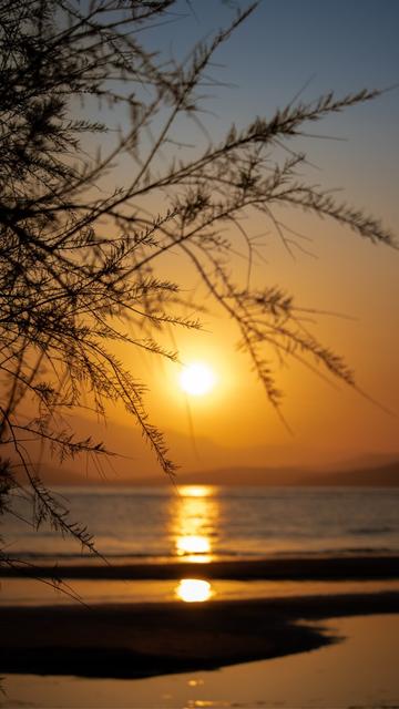 On the beach 🏖️ 

#Sunrise 
#sky #skyporn
#seaview #sea #nature #natura
#naturephotography #naturelovers #colorful
#canon #photography