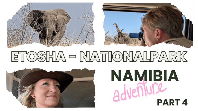 Youtube Thumbnail with an elephant, me and kate on safari in etosha nationapark