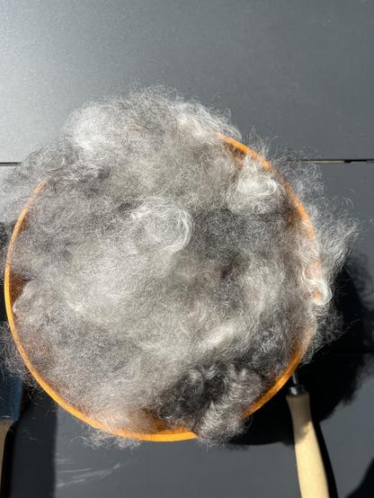 Orange plastic bowl topped with fluffy Gotland fibers of fairly short length. The fibers are mostly white and grey.