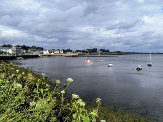 Herrlicher Blick vom Castle auf Kinvara