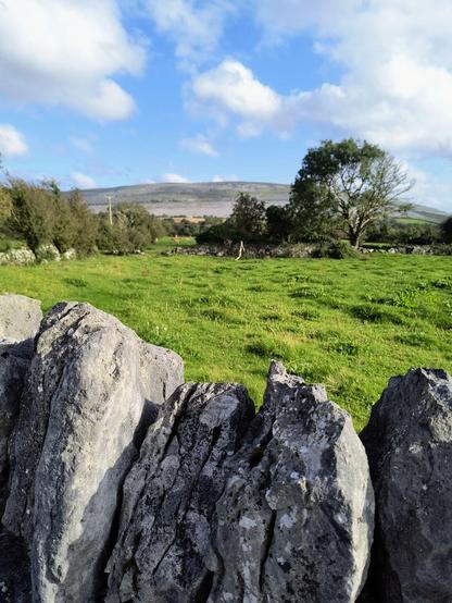 Der Burren so unwirklich wie wunderbar