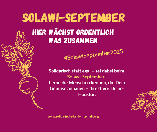 Sharepic mit Hintergrund in der Farbe von Roter Bete
Am linken Bildrand ist eine Strichzeichnung von einer Roten Bete

Text:

SOLAWI-SEPTEMBER
Hier wächst ordentlich was zusammen

#SolawiSeptember2025

Solidarisch statt egal - sei dabei beim Solawi-September!
Lerne die Menschen kennen, die Dein Gemüse anbauen - direkt vor Deiner Haustür.
www.solidarische-landwirtschaft.org