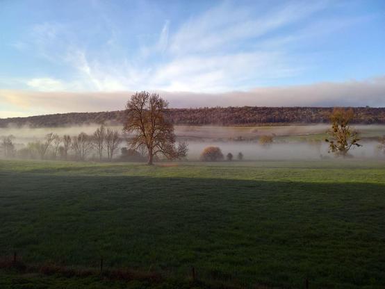 Un paysage où un arbre émerge de la brume qui s'élève doucement des champs et crée une atmosphère ouateuse au début du printemps. Le ciel est nuageux/brumeux.