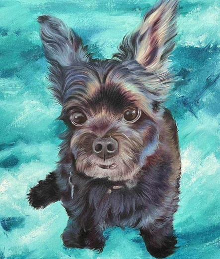 a photo of a small cute dog, it is looking at the viewer, a sea of aqua and blue tones underneath it