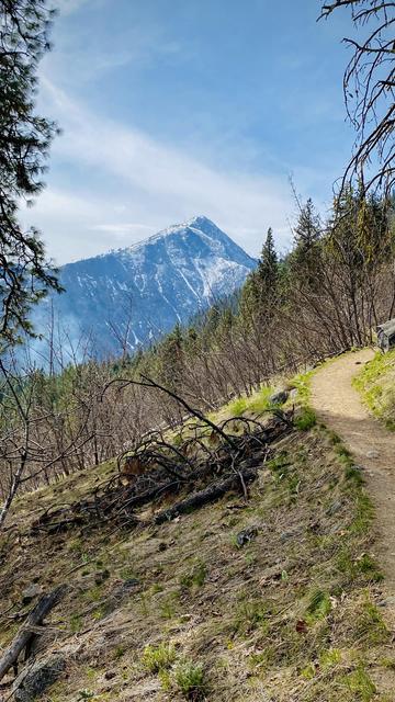 A winding dirt path leads through a sparse forest, with bare trees and patches of grass. In the background, a snow-capped mountain rises under a partly cloudy sky.