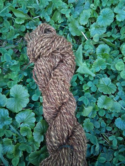 The same skein as before, now in shades of gold, brass, and copper