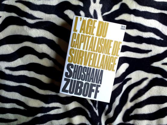 Livre L’AGE DU CAPITALISME DE SURVEILLANCE Shoshana Zuboff 13.50€