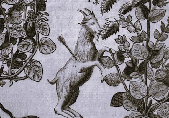 A Long History of Animals Self-Medicating with Plants