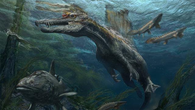 An illustration of a Spinosaurus swimming in the water next to Cretaceous-era fish