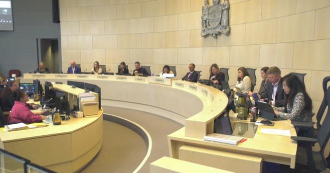 Edmonton city council meeting on Wednesday, Nov. 13, 2024. (Jeremy Thompson/CTV News Edmonton)