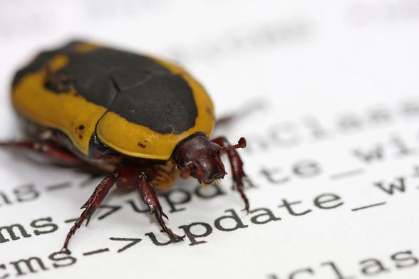 Bug (CoinDesk Archives)