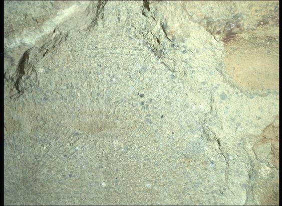 A color close-up photo of the Martian surface shows a pale yellowish-tan rock, with grooves or lines emanating from a center point like rays, with scattered black spots and small indentations throughout its surface.
