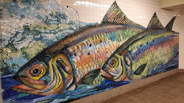 Shad Crossing fish mosaic MTA public art at Delancey Essex station an NYC subway story