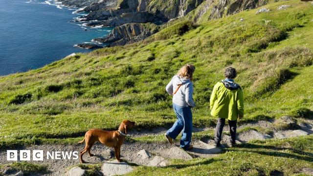 Two people are walking along a grassy path accompanied by a brown dog. The path winds toward dramatic, rocky cliffs that drop into the sea.
