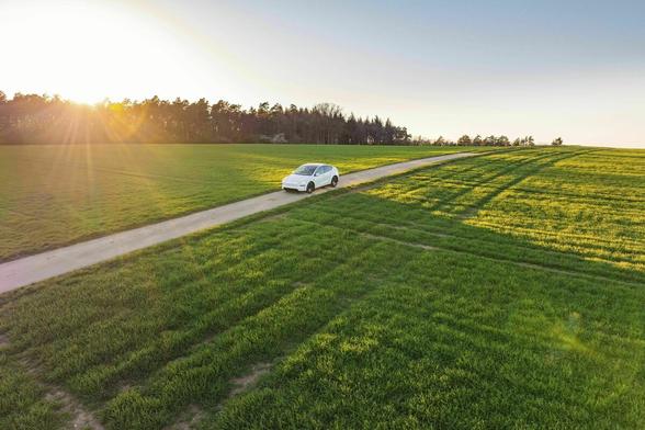 ein weißes Auto fährt auf einer Landstrasse an einer grünen Wiese - die Sonne scheint und bricht sich an einer Baumreihe im Hintergrund