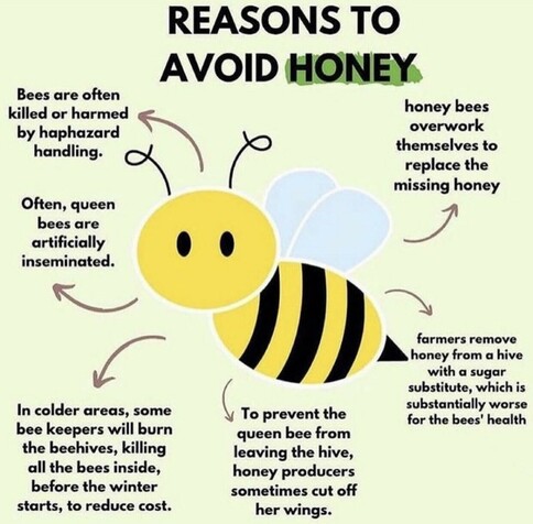 REASONS TO
AVOID HONEY:

1. Bees are often
killed or harmed
by haphazard
handling.

2. honey bees
overwork
themselves to
replace the
missing honey

3. Often, queen
bees are
artificially
inseminated.

3. farmers remove
honey from a hive
with a sugar
substitute, which is
substantially worse
for the bees' health

3. In colder areas, some
bee keepers will burn
the beehives, killing
all the bees inside,
before the winter
starts, to reduce cost.

3. To prevent the
queen bee from
leaving the hive,
honey producers
sometimes cut off
her wings.