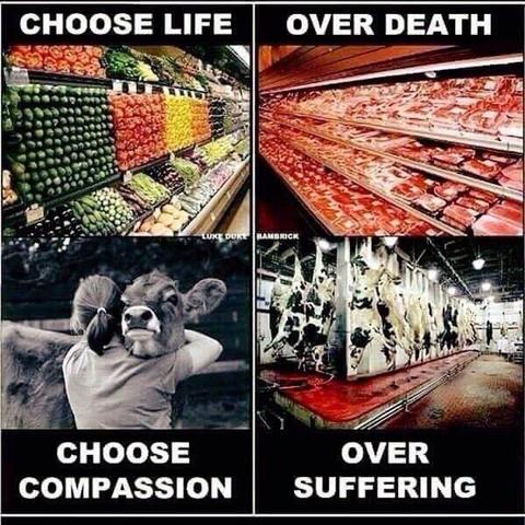 On the left there is a food shop shelf with plants and woman hugging the cow below in separate image. On the right there is a shelf with animal corpse parts and killed cows in slaughterhouse hanged upside down in separate image below. Blood all over the floor.

White text above: Chose life | Over death
White text below: Choose compassion | Over suffering

The | separates the images on the left and right.