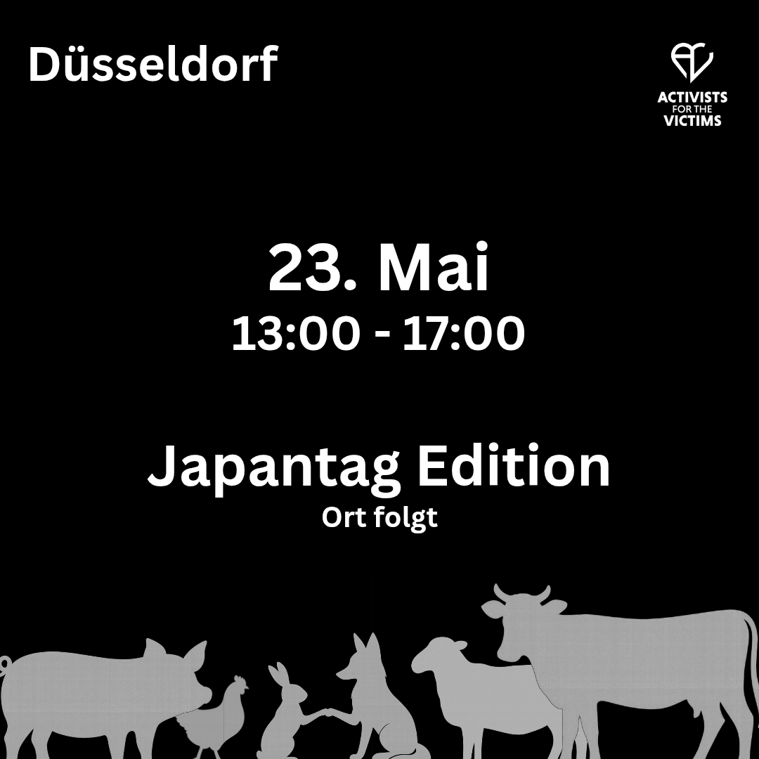Düsseldorf, 23. Mai, 13:00-17:00, Japantag Edition, Ort folgt