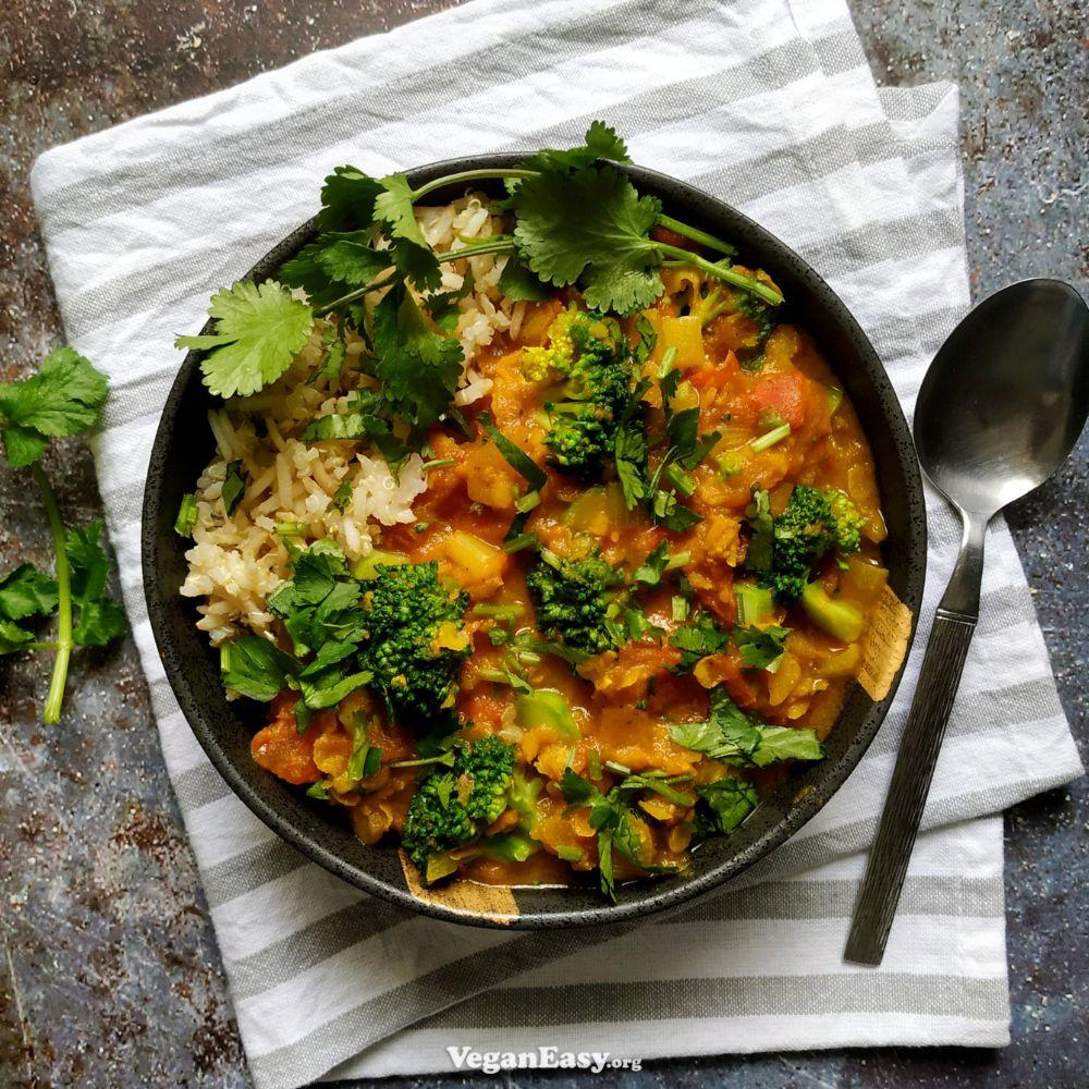Bowl of creamy red lentil curry with broccoli and rice garnished with coriander.