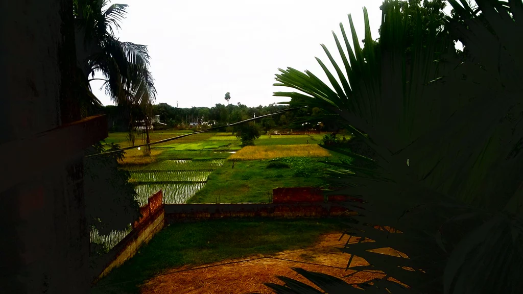 Test