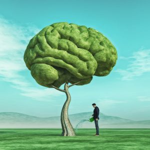 Spirituality, Wellness and The Networks in Your Brain – Plus A Neuro-Tip to Build Resilience. Written by: Fanny Elizaga, Senior Executive Contributor. Brainz Magazine