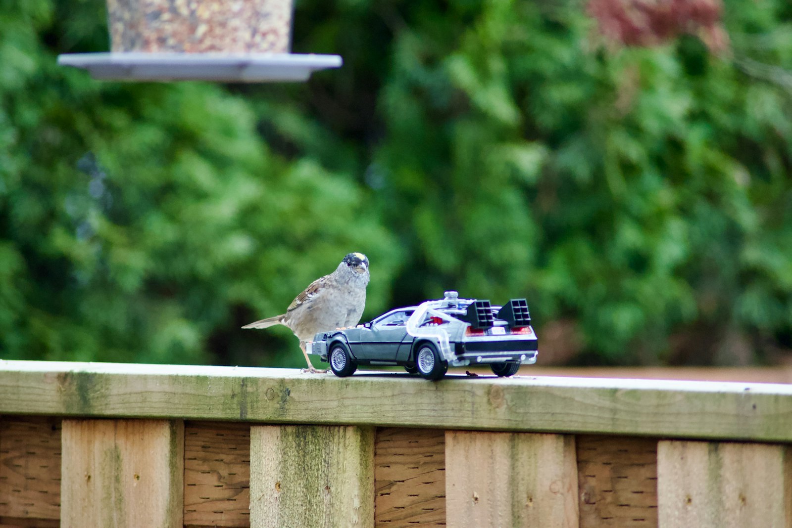 a bird is perched on a fence next to a toy car