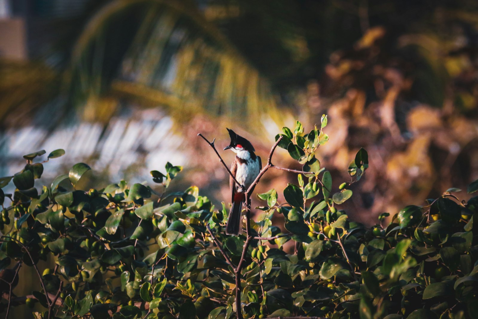 a small bird perched on top of a tree branch