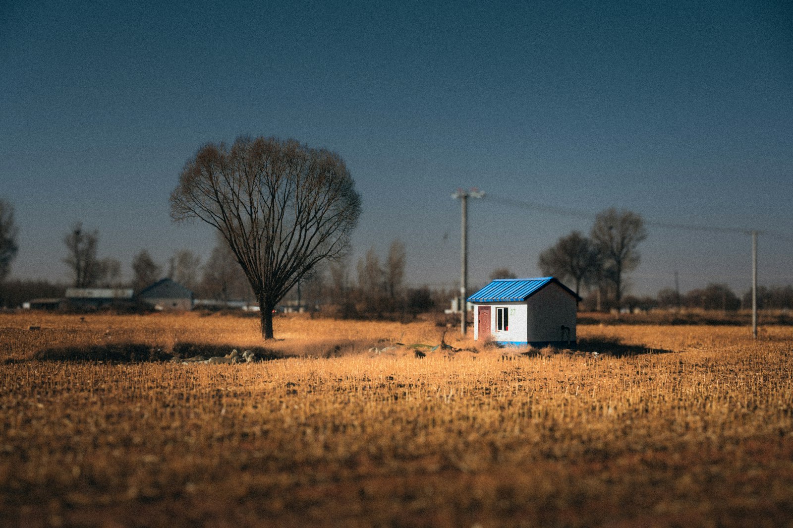 Small house with blue roof in dry field