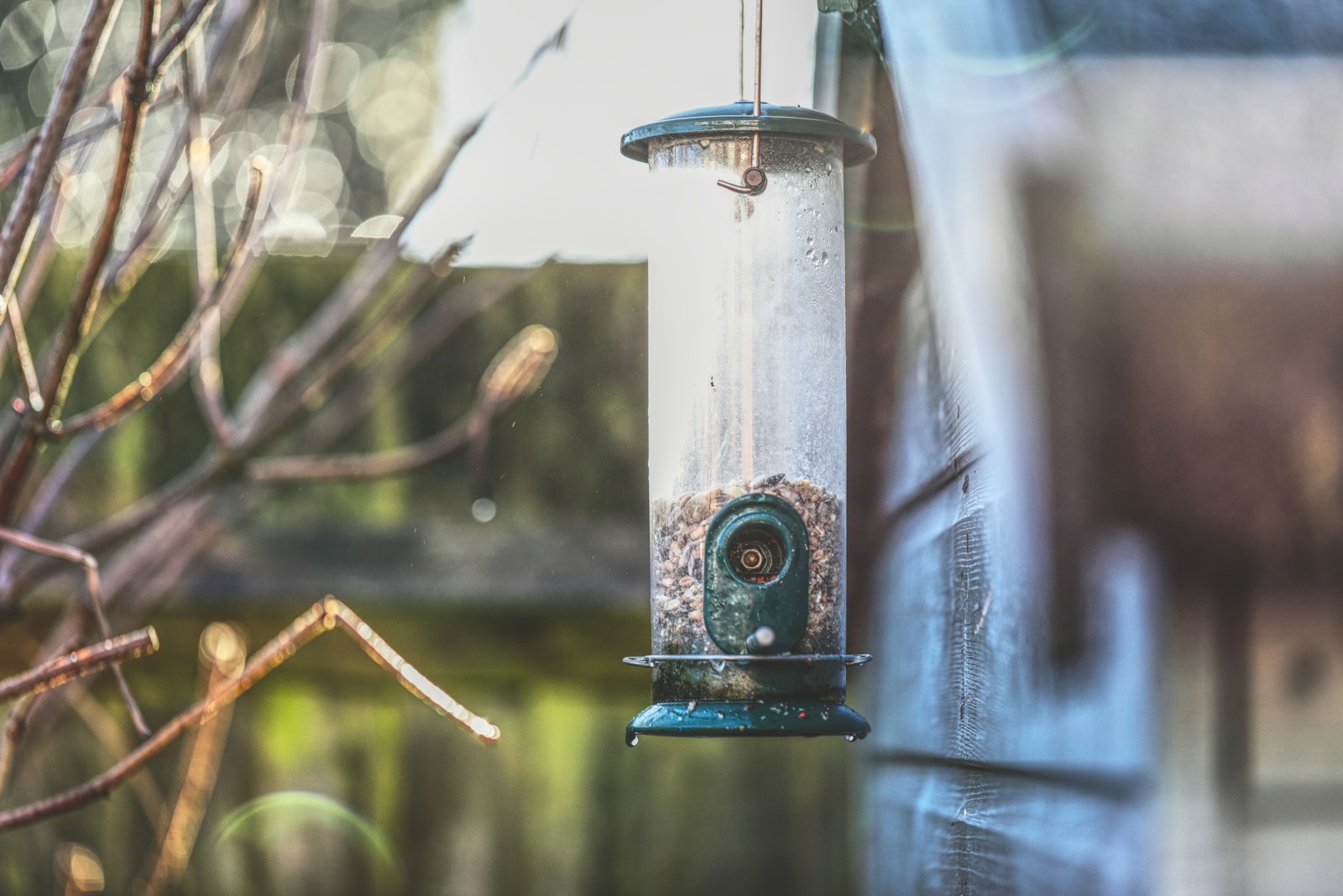a bird feeder hanging from the side of a building