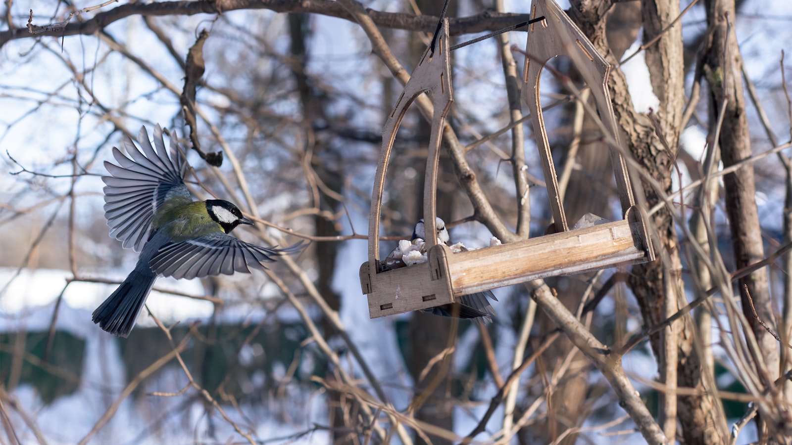 A bird flies towards a bird feeder in winter.