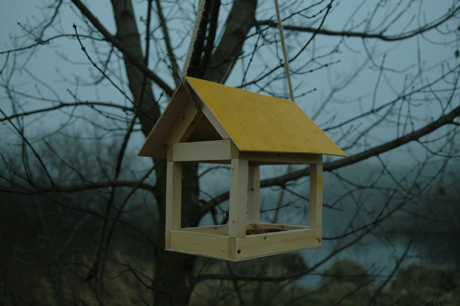 Wooden bird feeder hanging from a tree branch