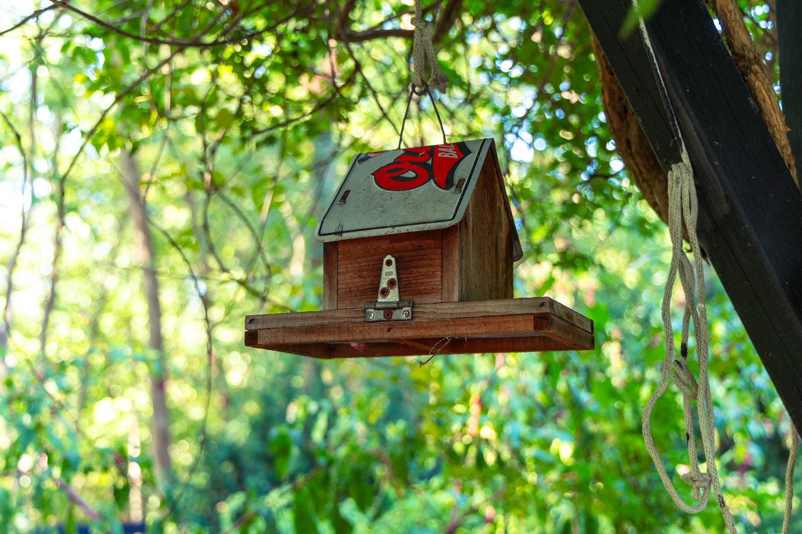 A bird house hanging from a tree in a forest