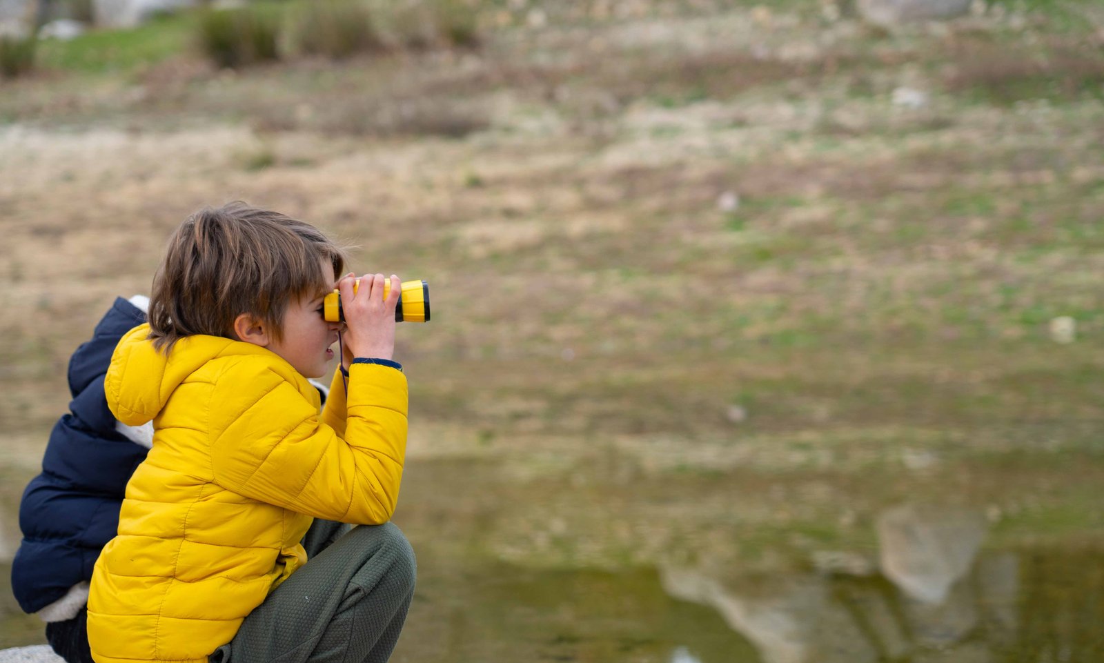 Hummingbird Nectar: The Sweet Science of Fueling Your Tiny Visitors